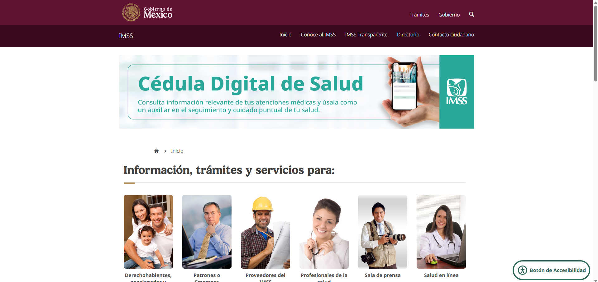 Logo IMSS
